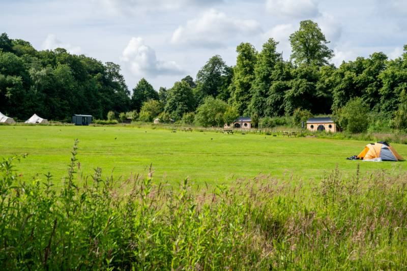 Upper Meadow TENT pitch (vehicle free field)