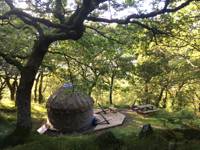 Yurt (for two)