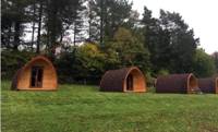 Pod