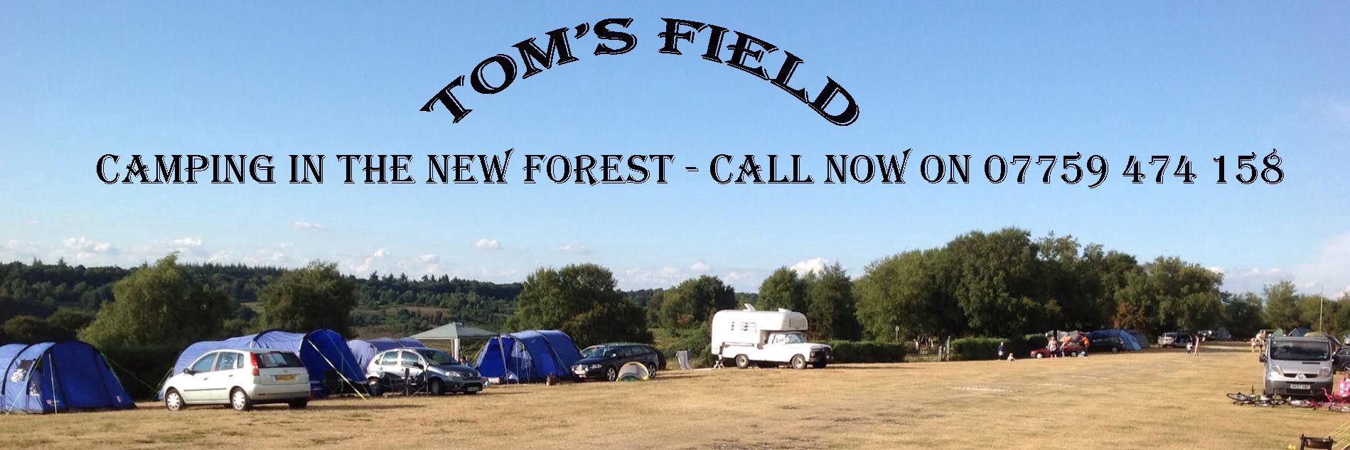 Tom's Field (New Forest)