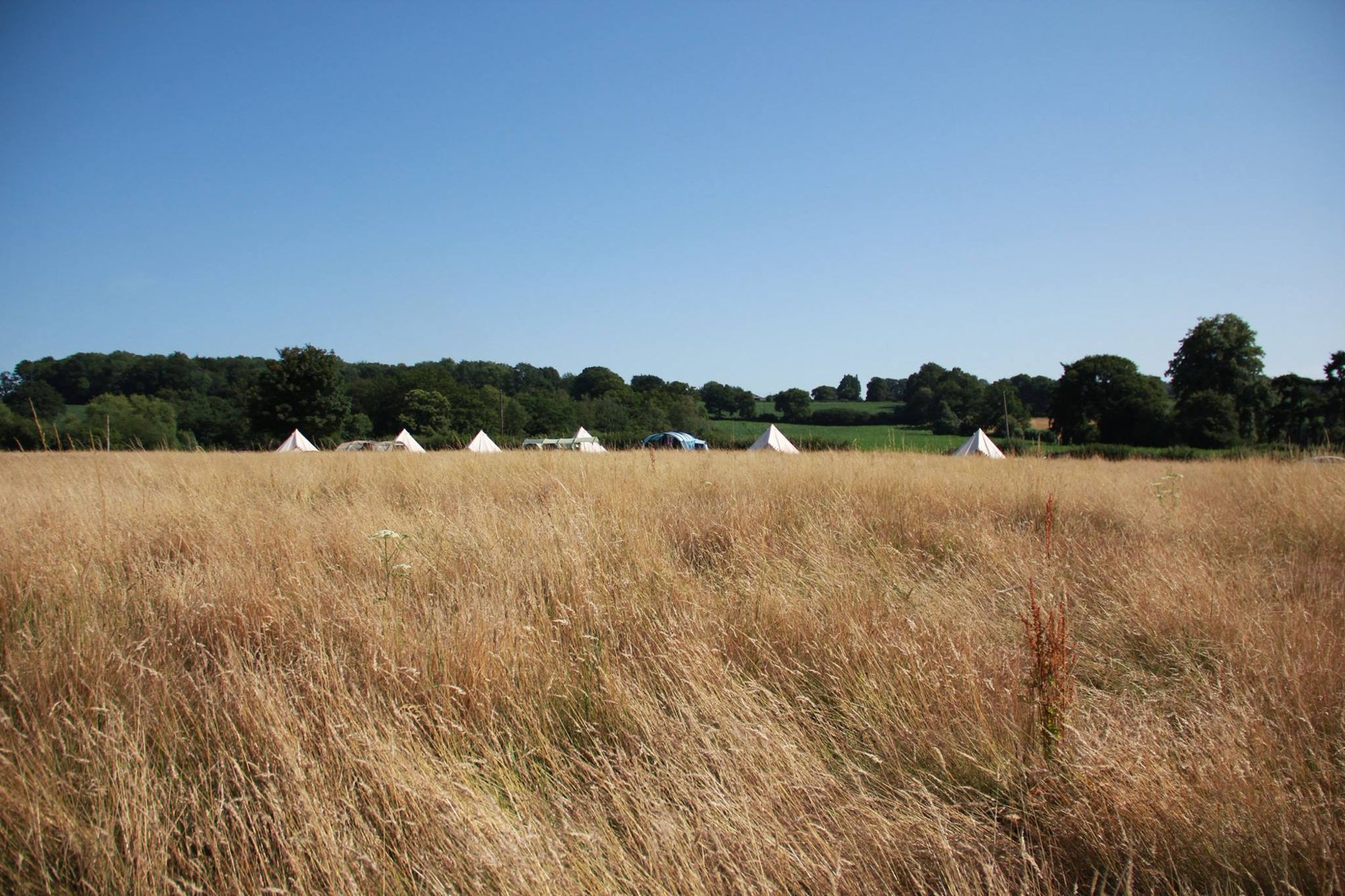 Campsites in Groombridge holidays at Cool Camping