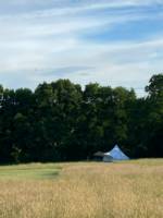 Thistle Bell Tent