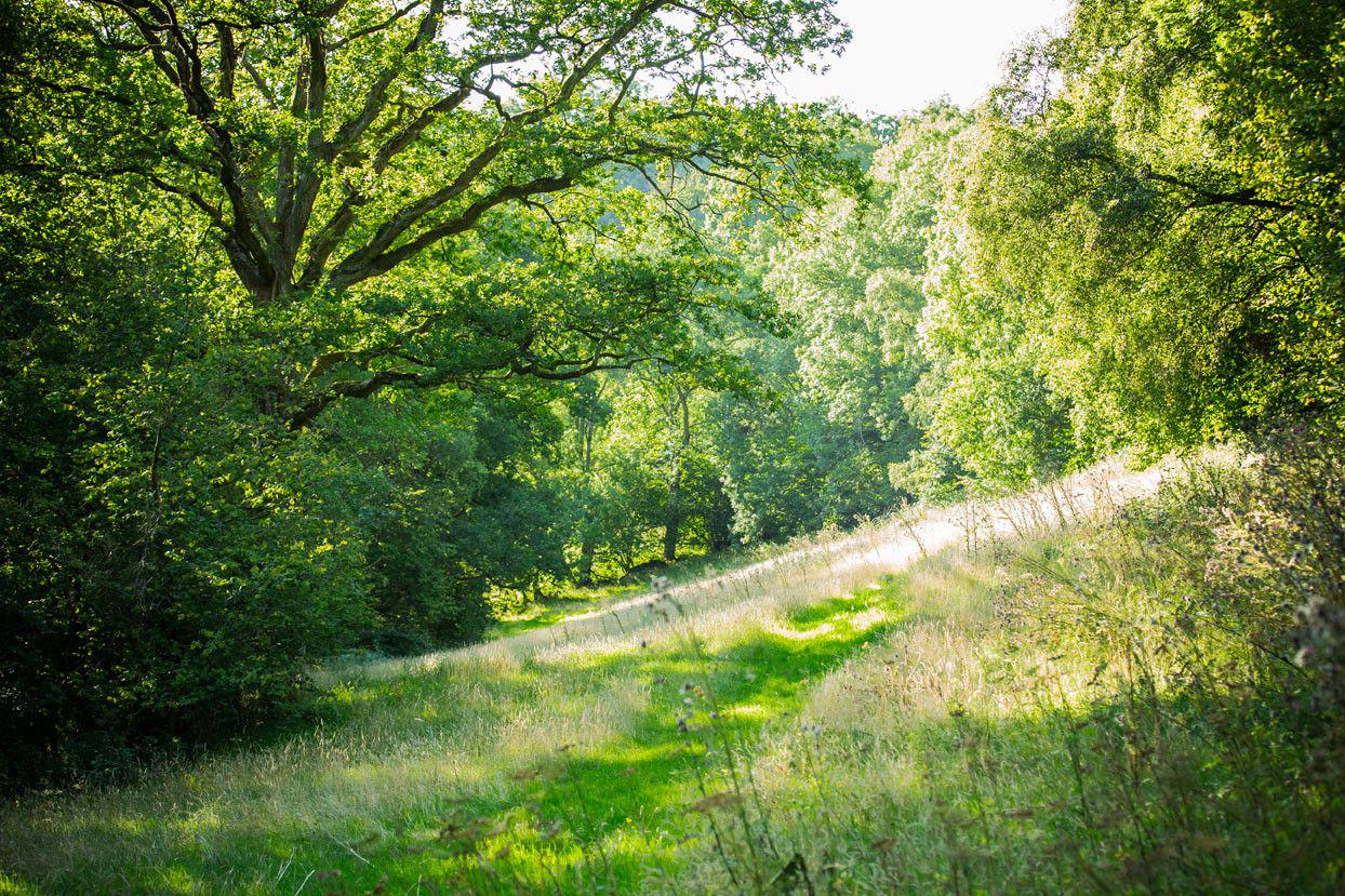 Tintern Camping Campsites Near Tintern Abbey And Tintern Wales