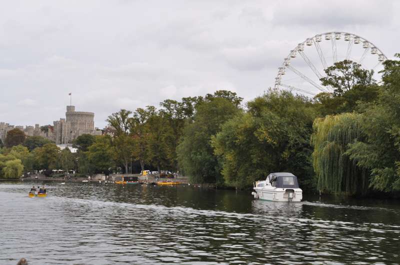 The Windsor Wheel