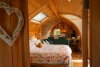 Daisy Pod