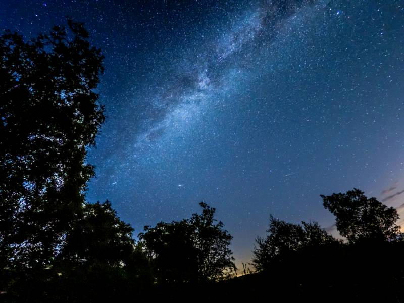 Lower Meadow Van / Roof Tent Pitch