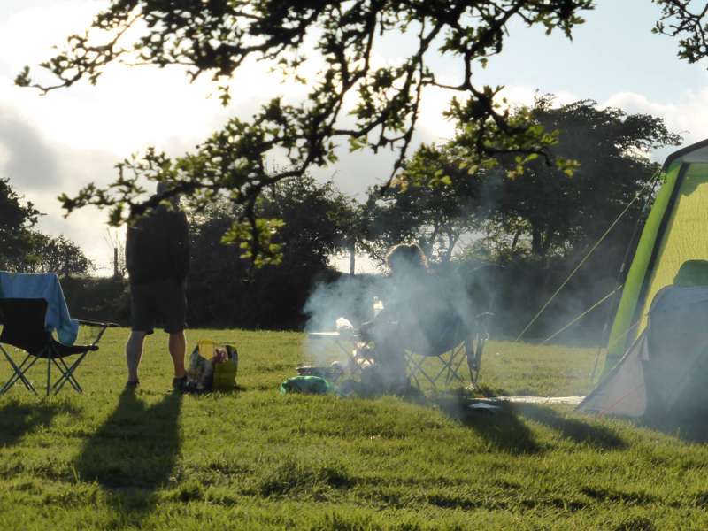 Dog Friendly Camping for 1-6 people