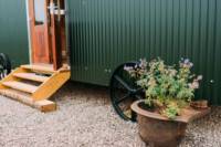 The Shepherd's Hut