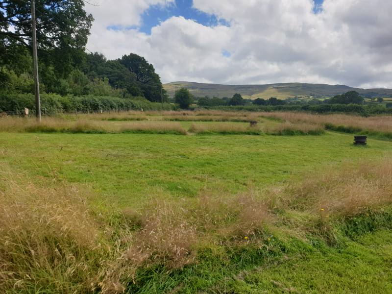 PEGASUS (Tent Pitch)