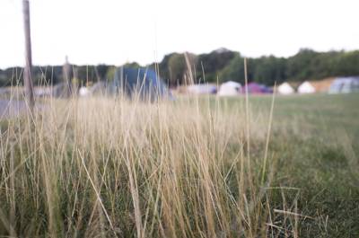 Upper Meadow TENT pitch (vehicle free field)