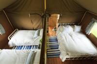Buzzard Safari Lodge