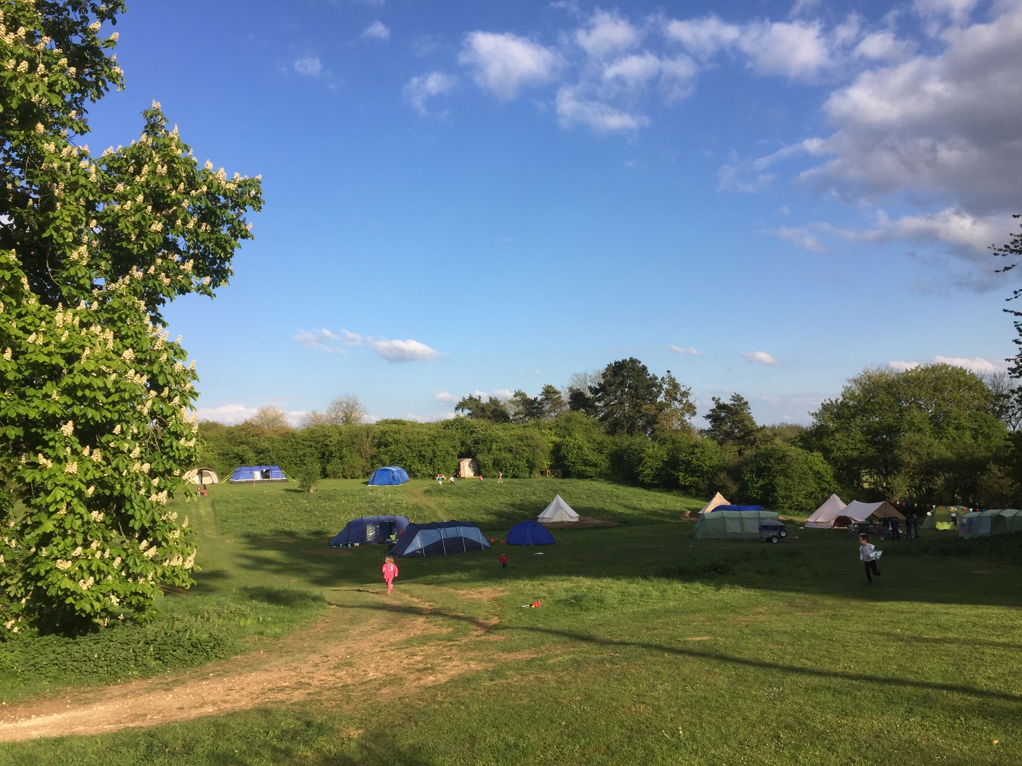 Grass Pitch 67 at Far Peak Camping Cool Camping (14290)