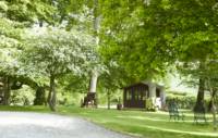 Ash Cabin
