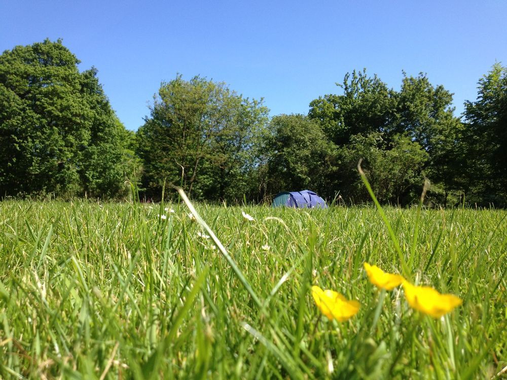 Campsites in East Anglia – Best campsites in Norfolk, Suffolk & Cambridgeshire – Cool Camping