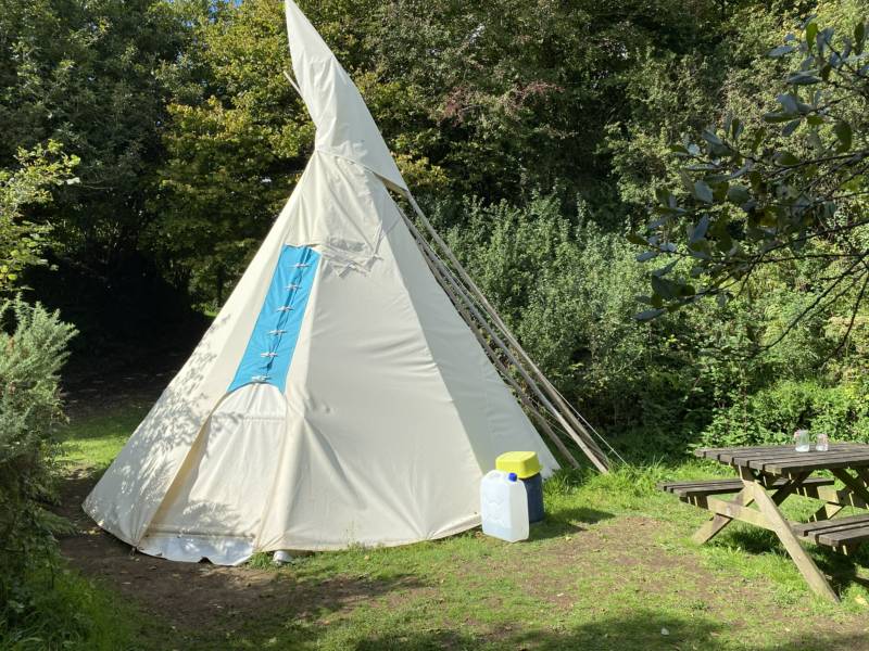 Willows - Medium Tipi - Private Site