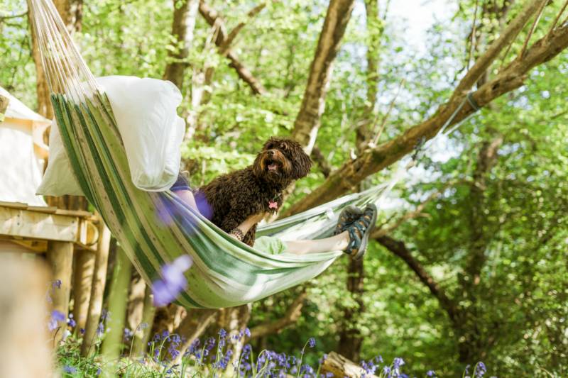 Cuddfan Bach - The Little Hideaway