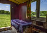 Shepherds' Hut - Poppy