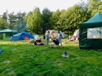 Woodland Meadow Pitch