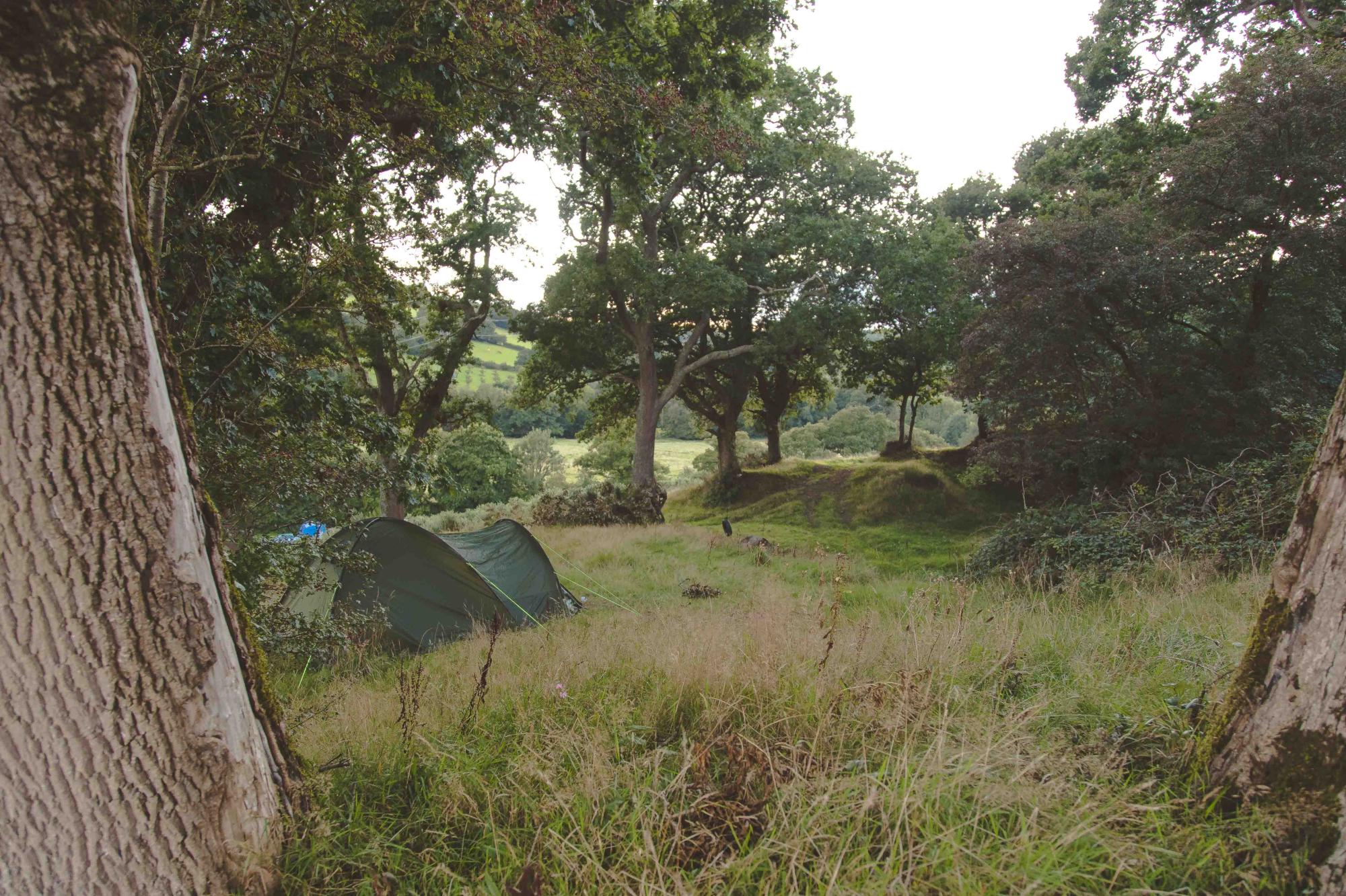 Campsites in South West England – I Love This Campsite