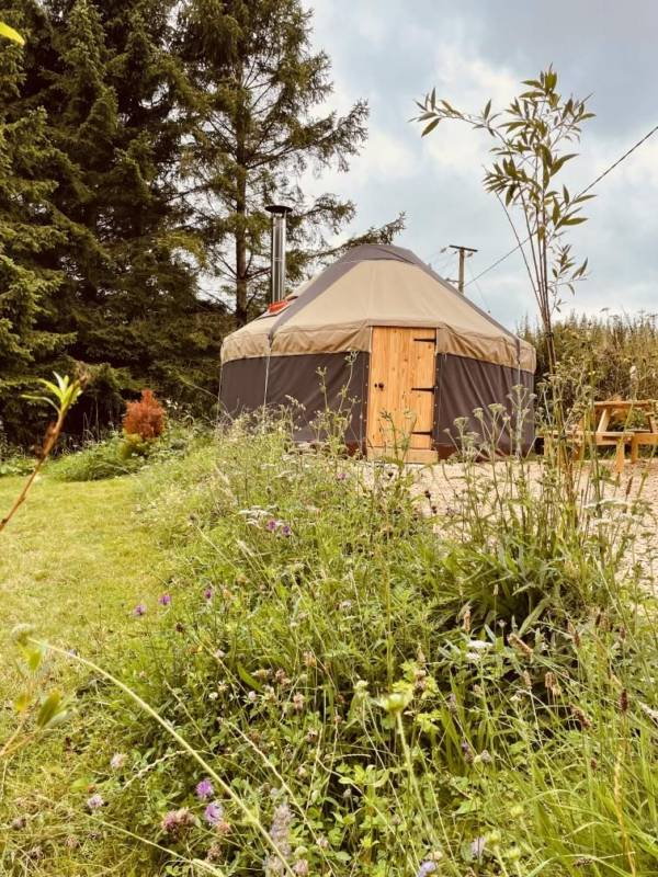 Ragwort Yurt