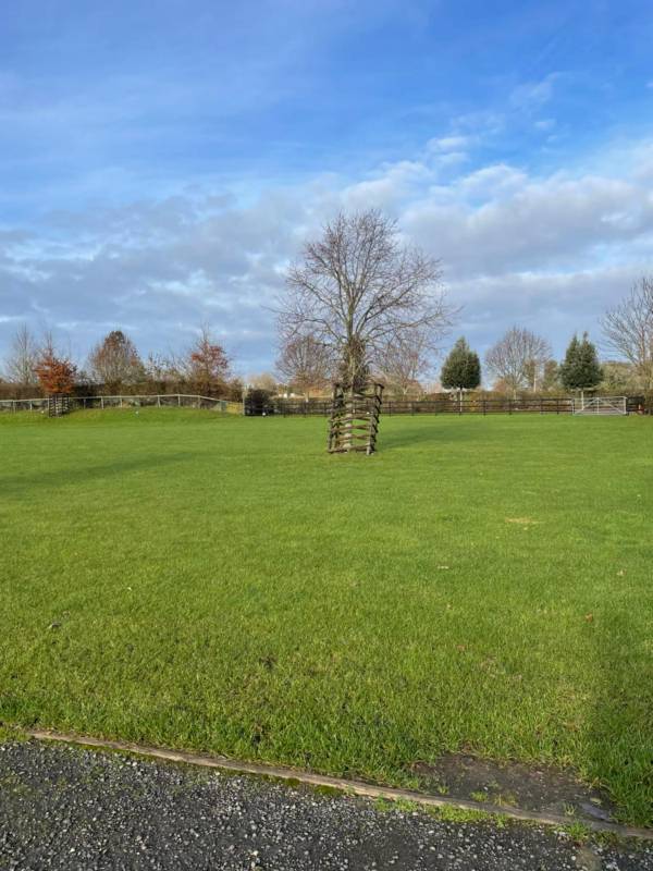 Meadow Grass Electric