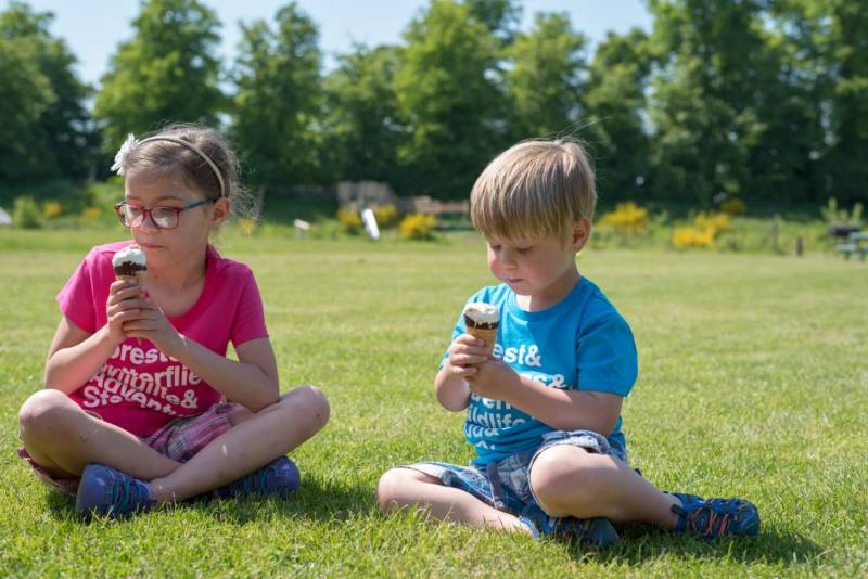 Bell Tent 1 SPINDLE field pitched with porch
