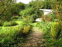 Cabin Pen y Gaer