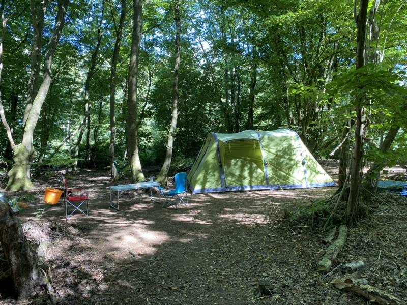 Woodland Pitch