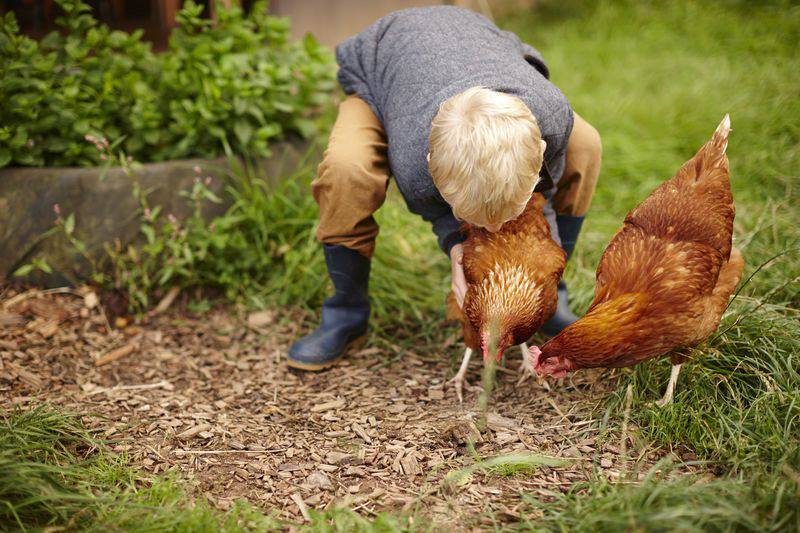 Why farm stays are good for your kids