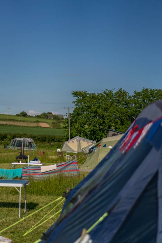 NonElectric Standard Grass Pitch