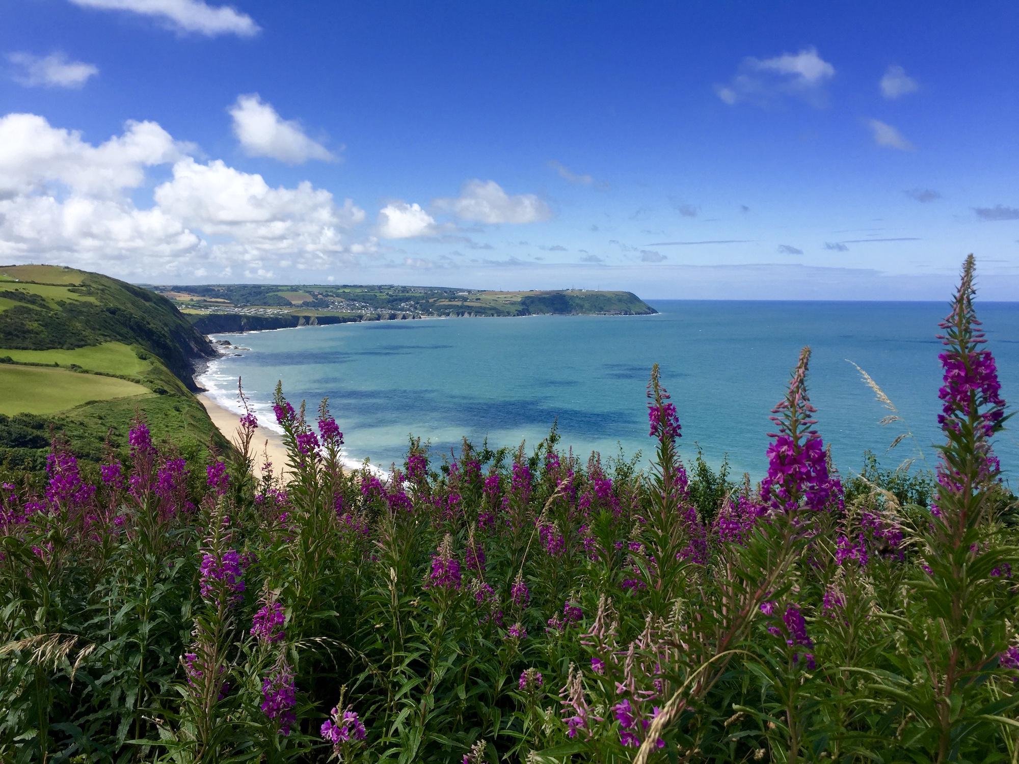 Hotels, Cottages, B&Bs & Glamping in Ceredigion