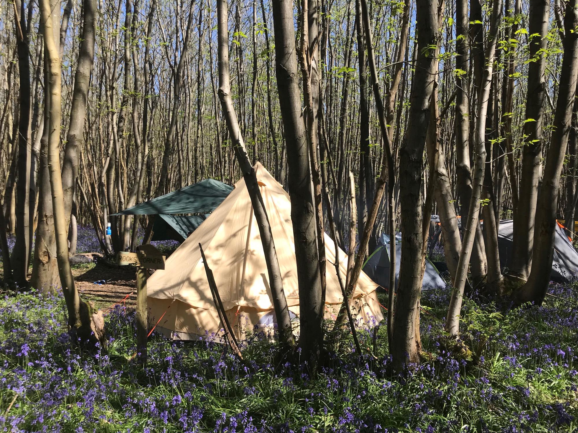 Badgells Wood Camping, Maidstone
