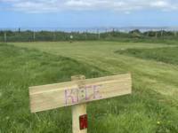 Buzzard Grass Pitch (electric)