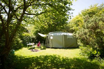 Foxgloves - Wild Camping - Private Pitch