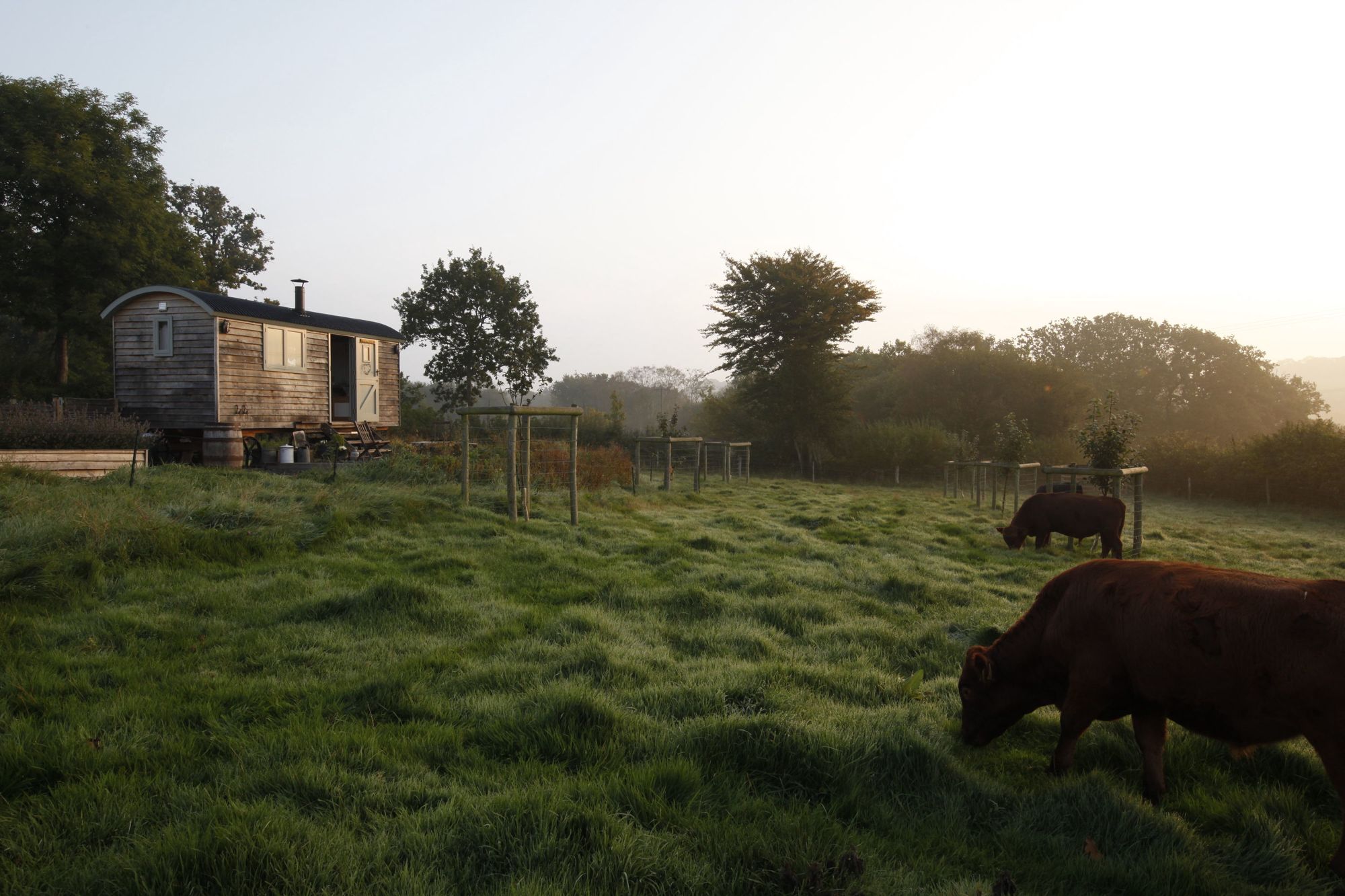 Glamping in Somerset – The best glampsites in Somerset – Cool Camping