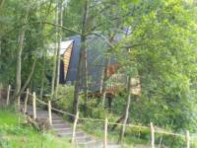 'Flint' the woodland den