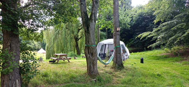 Willow View - Nearly-wild, woodland pitch