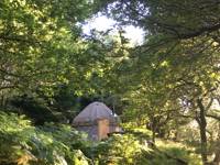 Yurt (for two)