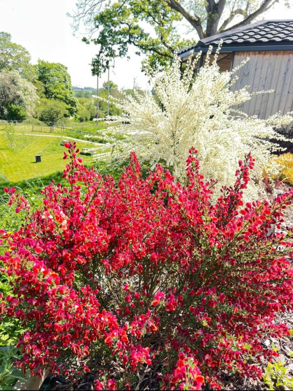 The Kingfisher Cabin