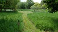 Standard Grass Pitch