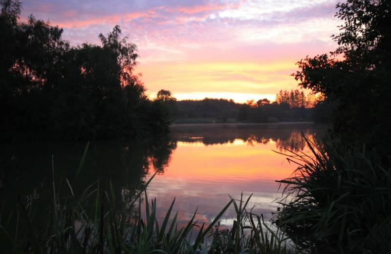 Silverbird Airstream Caravan