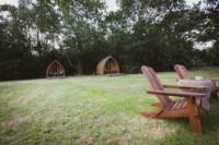 The Burrow