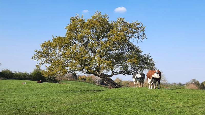 The Ryeland Retreat,