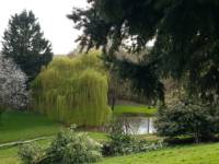 Hawthorn Ridge Bell Tent