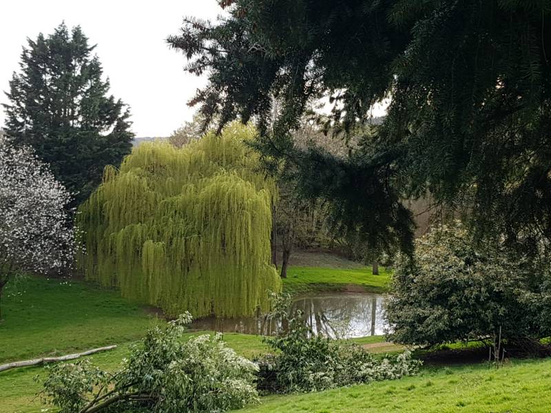 Hawthorn Ridge Bell Tent