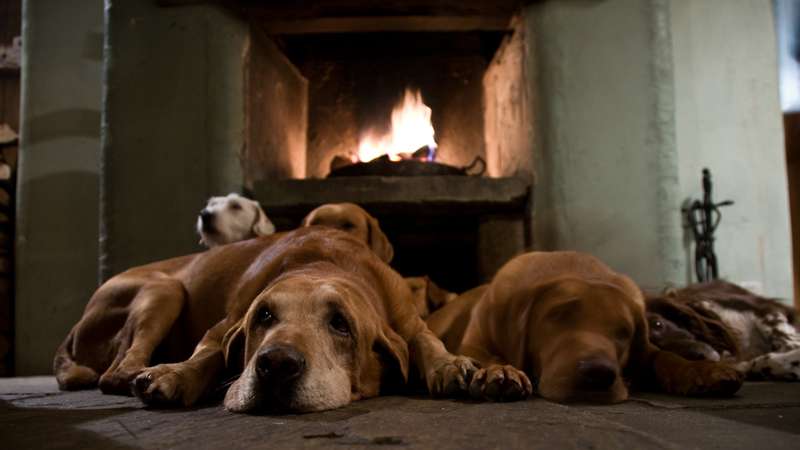 The Best Country Pubs with Fireplaces UK