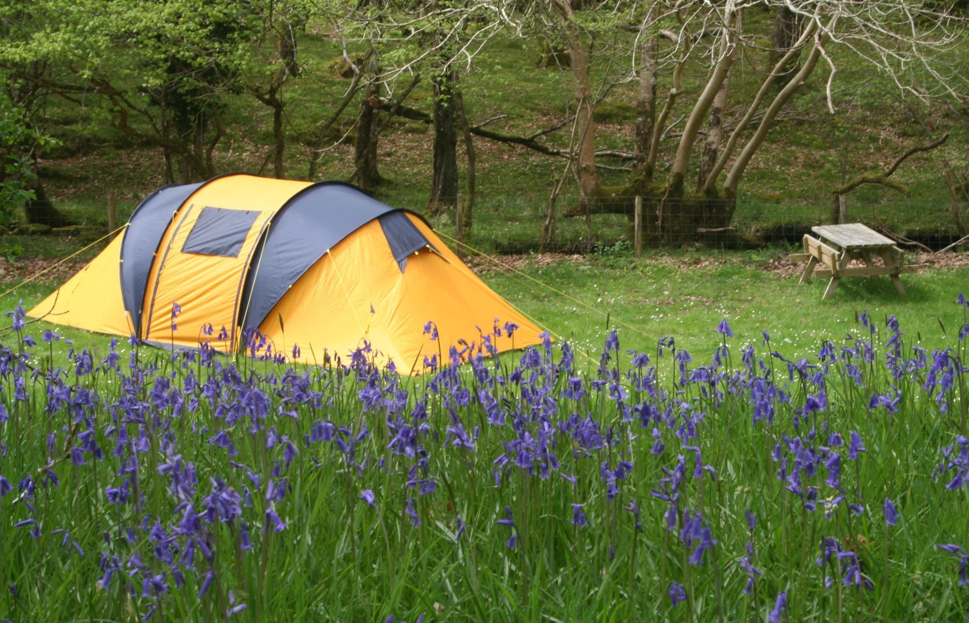 Campsites in Wales – The Best Camping Locations in Wales – Cool Camping