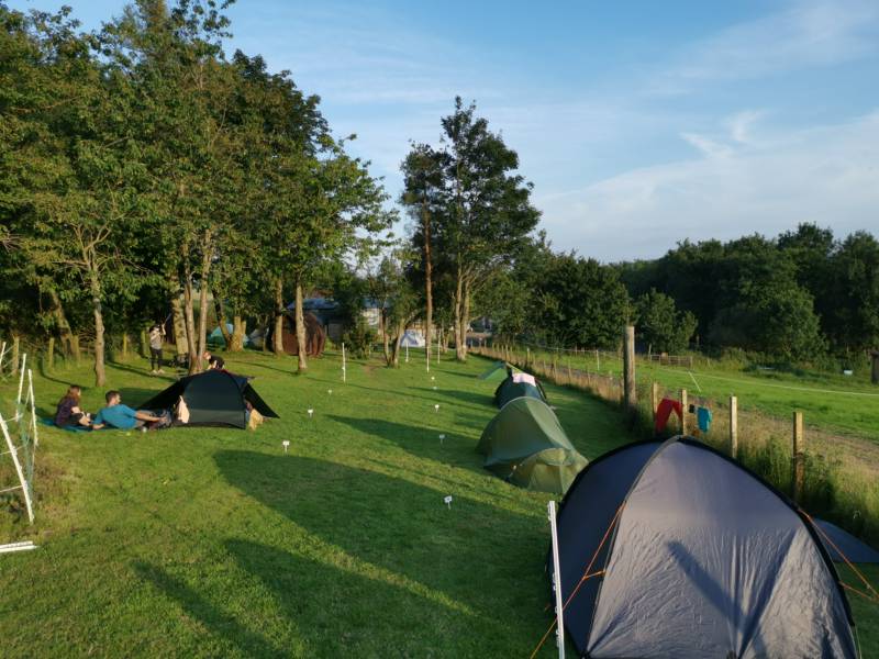 Standard Pitch (max 3-man tent)