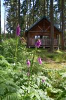 Cabane