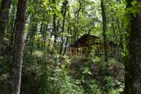 Bamburi, Woodland Safari Tent